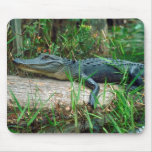 Young Alligator Mousepad