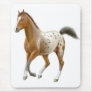 Young Appaloosa Horse Mousepad