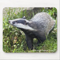 Young Badger Mousepad