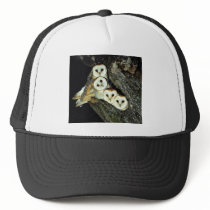 Young barn-owls, 9 weeks old mesh hats