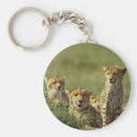 Young Cheetah Group Key Chains