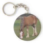 young Clydesdale keychains