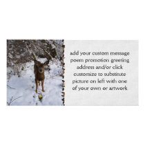 Young Deer In Winter Custom Photo Card