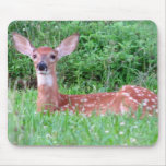Young Deer mousepads
