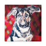 Young dog  magnet