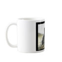 Young Double-crested Cormorants mugs