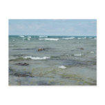 Young Eagles Solstice Beach Postcards