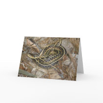 Young Eastern Garter Snake Coordinating Items Cards