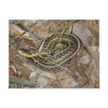 Young Eastern Garter Snake Coordinating Items postcards