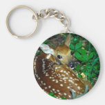 Young Fawn Keychains