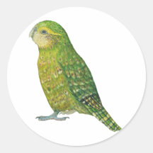 Young Female Kakapo Round Stickers