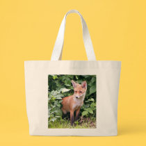 Young Fox 1 bags