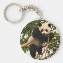 Young giant panda key chain