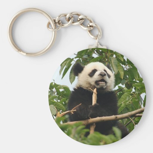 Young giant panda - key chain