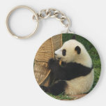 Young giant panda keychains
