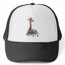 Young Giraffe at Rest