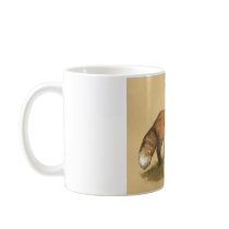 Young Gnome and Fox Mugs