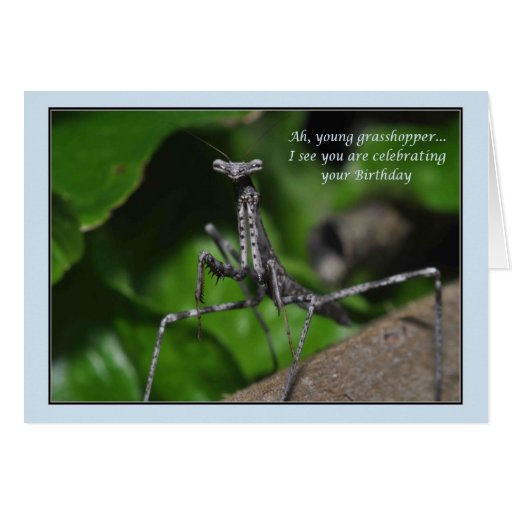 Best Kung Fu Grasshopper Quotes. QuotesGram