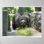 Young Great Horned Owl posters