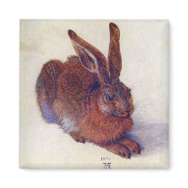 Young Hare by Albrecht Dürer Fridge Magnets