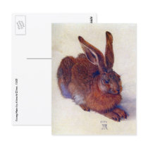 Young Hare by Albrecht Dürer Postcard