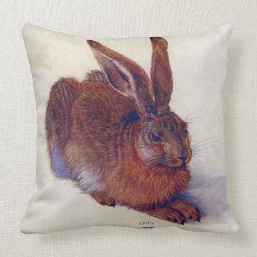 Durer Pillows