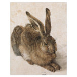 'Young Hare' Flyer Design