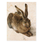 'Young Hare' Postcards