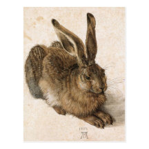 'Young Hare' Postcards