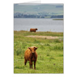 Young Highland Cow by Scottish Loch Greeting Card