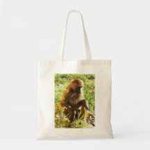 Young Juvenile Baboon Sitting and Looking Down Canvas Bag