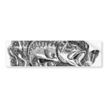 Young Largemouth Bass bumper stickers