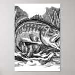Young Largemouth Bass Print