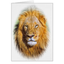 Young lion greeting card