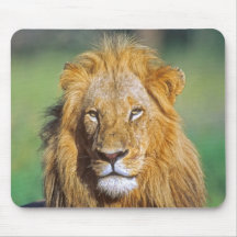 Young lion mouse pad