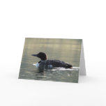 Young Loon Greeting Card