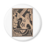Young Magus magnets