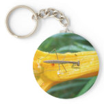 Young Mantis ~ keychain