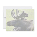 Young moose invitations