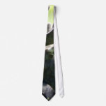 Young moose ties