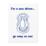 Young New Teen Driver Post Cards