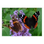 Young & Old butterfly ~ ATC Business Cards