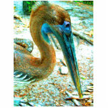 Young pelican head shot, high saturation colour photo sculptures