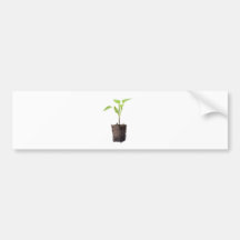 Young plant bumper stickers