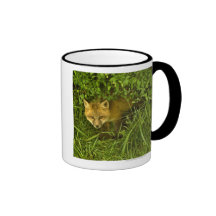 Young Red Fox coming out from hiding in bushes Coffee Mugs
