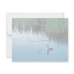 Young Rednecked Grebe invitations