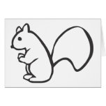 Young Squirrel in Black and White Sketch cards