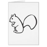 Young Squirrel in Black and White Sketch cards