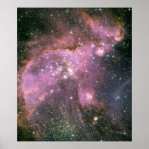 Young Stars Print