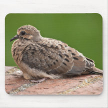 Young Visitor Mousepad